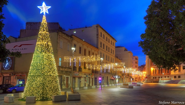 Covid, piazza Garibaldi avrà il suo Albero di Natale. Sorgia: “Teniamo duro, supereremo anche questa pandemia”