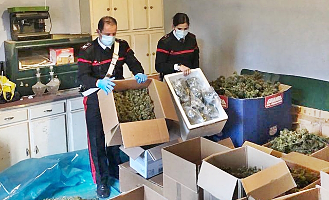 In casa, dentro gli scatoloni, oltre 100 Kg di marijuana: il pusher beneficiava anche del reddito di cittadinanza