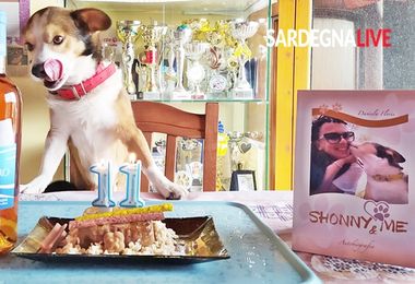 Un ‘compleanno’ diverso per Shonny, l’appello di Daniela Floris: “Il mio cane sta male, aiutatemi”