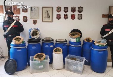 Nascondeva 50 kg di marijuana: in manette allevatore di Solarussa