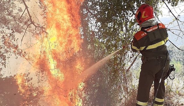 Undici gli incendi divampati oggi in Sardegna. A Ozieri intervento del mezzo aereo del Corpo forestale