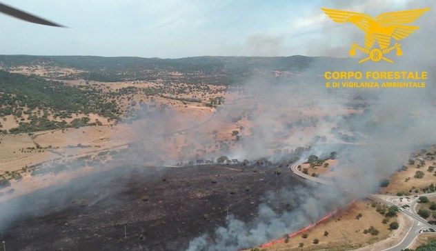 Un'altra giornata di fuoco in Sardegna: divampati 28 incendi