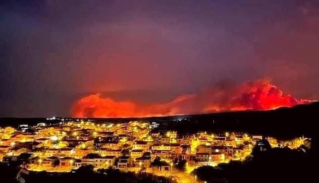 Incendi nell’Oristanese, Coldiretti: “Solidarietà per recuperare foraggi e cereali da destinare agli allevatori”