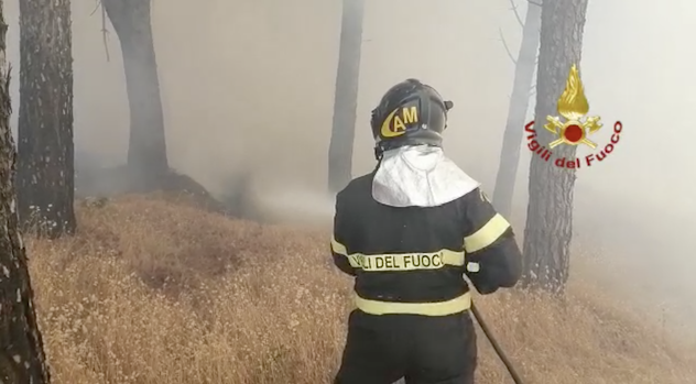 Incendi in Sardegna: 1.500 sfollati, 20.000 ettari di terreno in fumo
