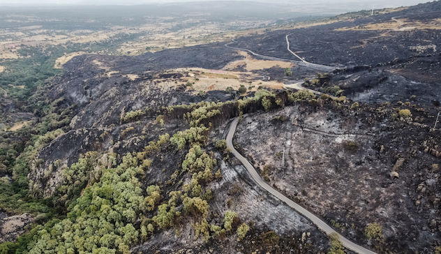 Le immagini del disastro ambientale causato dagli incendi visto dal drone