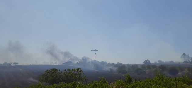 Oggi 13 incendi in Sardegna, in volo gli elicotteri del Corpo forestale
