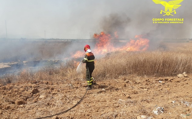Nove incendi nella giornata di oggi in Sardegna