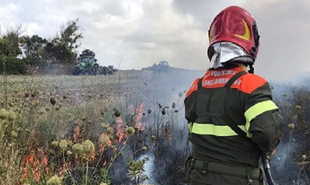 Ventuno incendi oggi in Sardegna. Elicotteri a Fordongianus, Baressa e Buddusò
