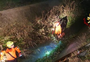 Maracalagonis. Vigili del fuoco salvano due cani caduti in un canale