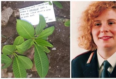 Rubata a Palermo pianta in memoria di Emanuela Loi