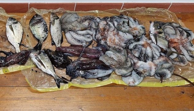 Alghero. Pesca notturna nell’Area Marina Protetta: denunciato un sub