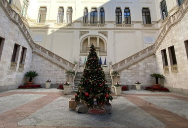 Natale: albero di solidarietà al Palazzo Civico di Cagliari 