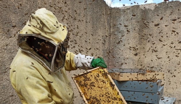 Non solo miele: dalle bomboniere ai laboratori didattici, gli allevatori di api Alessandro e Ilaria ci parlano del loro lavoro
