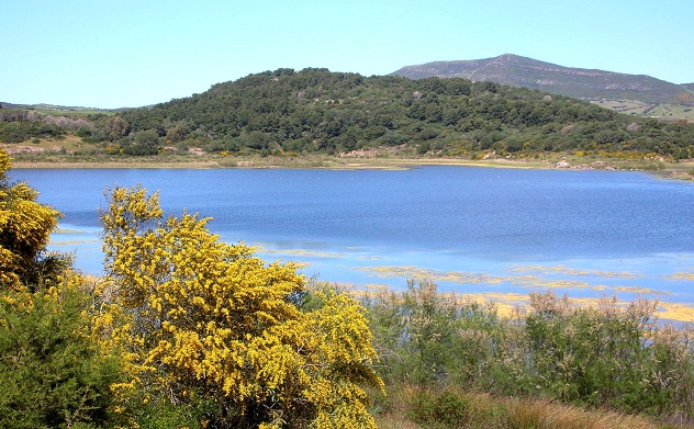 Nel territorio di Sassari l'unico bacino naturale della Sardegna: il leggendario lago di Baratz