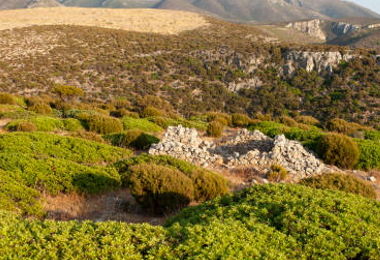 La Sardegna punta a diventare isola green e bio entro il 2030 