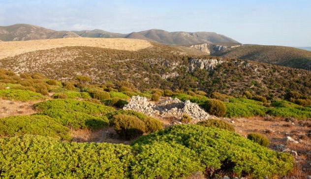 La Sardegna punta a diventare isola green e bio entro il 2030 