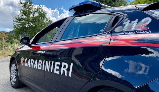 Oniferi. I carabinieri sequestrano 700 chili di droga in un ovile