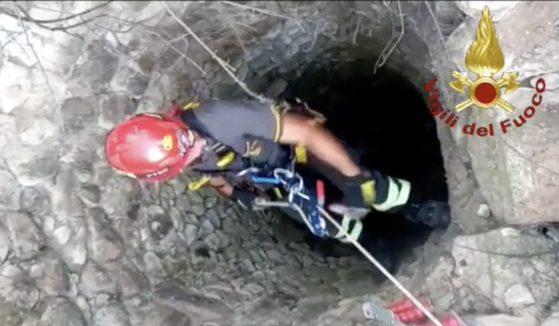 Sorso. Cane cade in un pozzo profondo 6 metri: salvato dai Vigili del fuoco