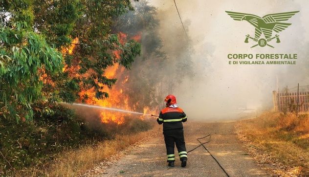 Tredici incendi in Sardegna, oltre tre ettari in fumo