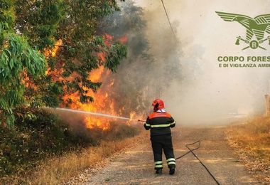 Tredici incendi in Sardegna, oltre tre ettari in fumo
