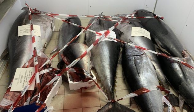 Sant’Antioco. Sequestrati 1200 chili di tonno rosso