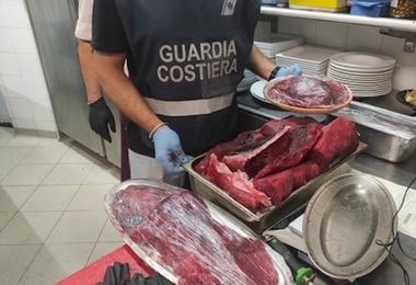 Arzachena. 150 chili di pesce illegale in cucina, maxi multa per ristoratore