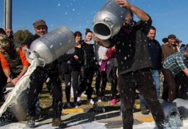Proteste per il prezzo del latte in Sardegna, assolti 5 pastori 