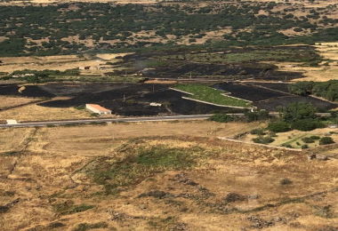 Oggi in Sardegna 27 incendi e oltre 16 ettari in fumo 