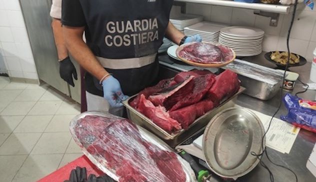 Arzachena. 150 chili di pesce illegale in cucina, maxi multa per ristoratore