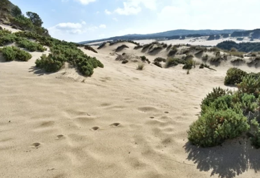 Sesso tra le dune sulla spiaggia di Piscinas ad Arbus