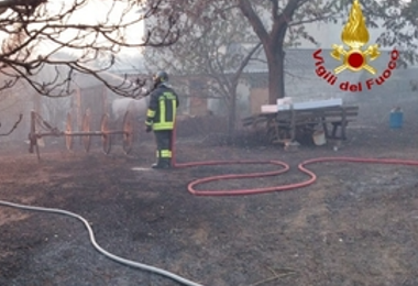 Incendi, muore una volontaria schiacciata da un albero carbonizzato in Friuli