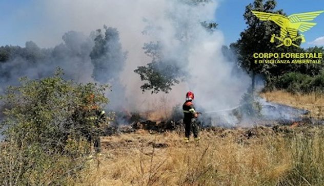 Sedici incendi oggi in Sardegna