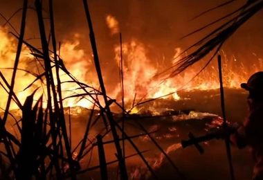 Ancora un incendio nel Molentargius, case evacuate. Sindaco Quartu: 