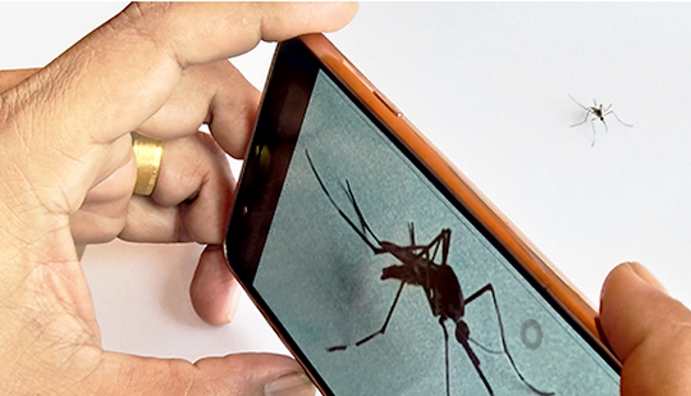 West Nile, Iss: “Arriva un’app per tracciare le zanzare” 