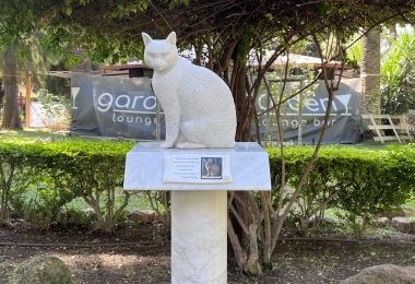 Iglesias. Una statua per ricordare Dondi, il gatto amico di tutti investito e ucciso 