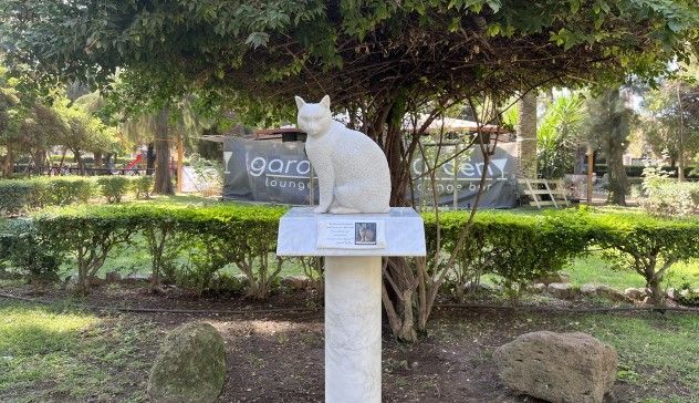 Iglesias. Una statua per ricordare Dondi, il gatto amico di tutti investito e ucciso 