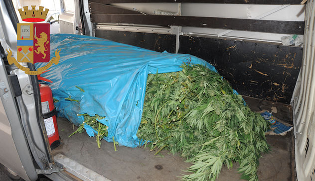 Nuoro. La Polizia trova sacchi nascosti in un cespuglio con 90 kg di marijuana
